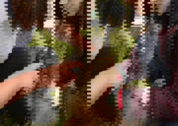 careday_009.jpg