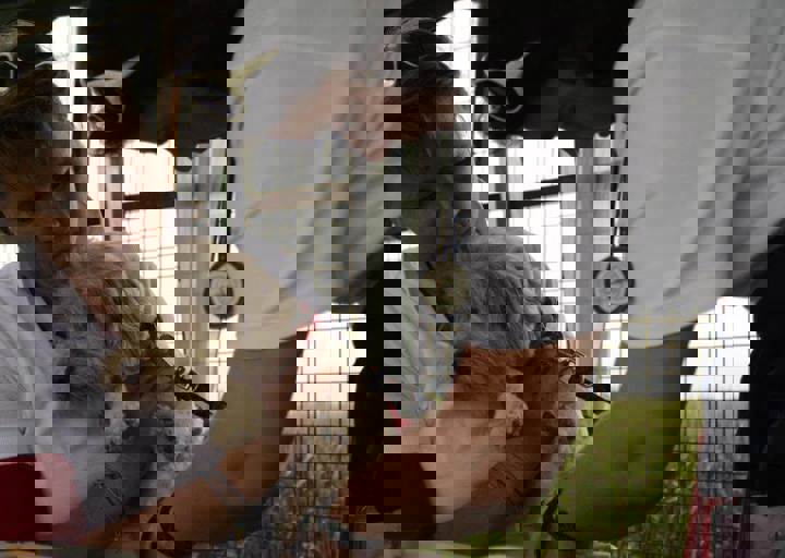 careday_011.jpg