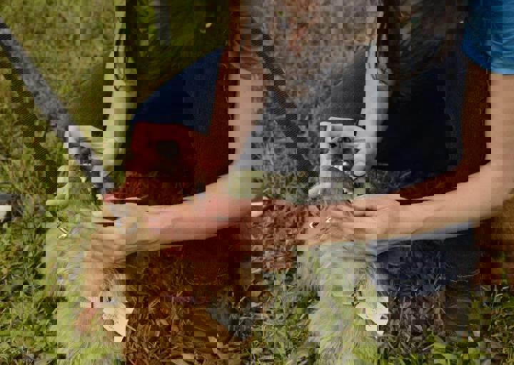 careday_012.jpg