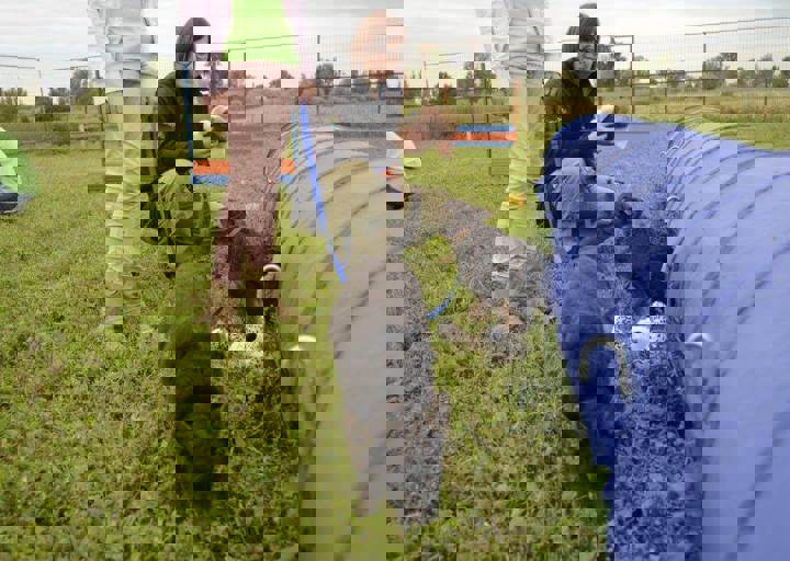 careday_016.jpg