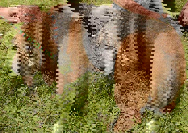 careday_018.jpg