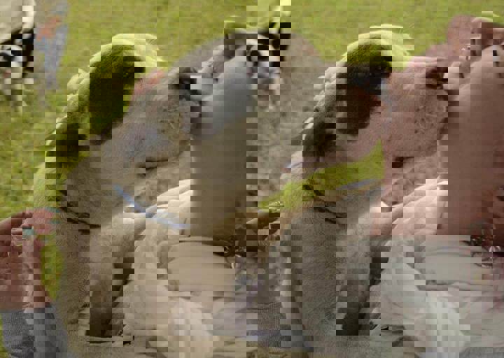 careday_021.jpg