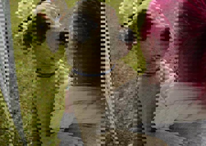 careday_022.jpg