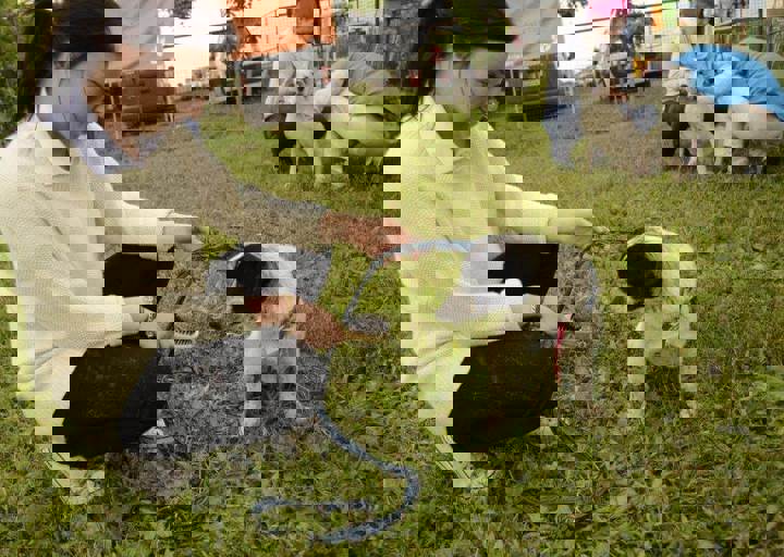 careday_027.jpg