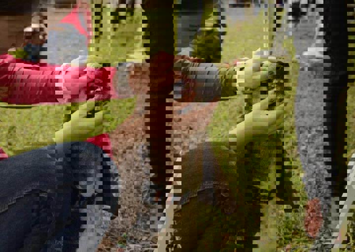 careday_034.jpg