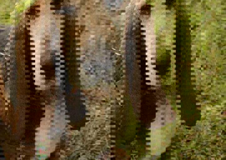 careday_035.jpg