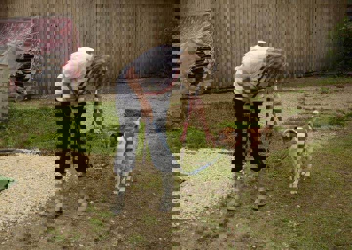 careday_036.jpg