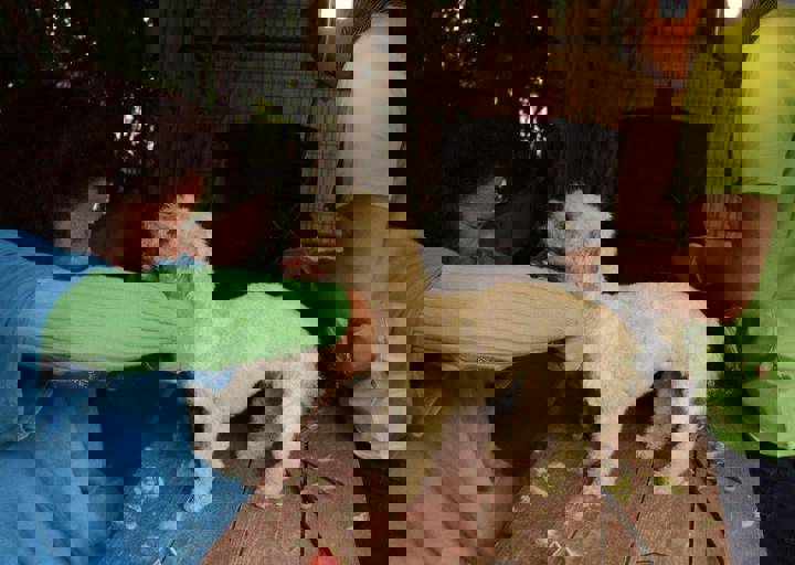 careday_037.jpg