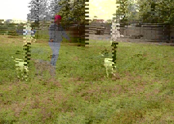 careday_041.jpg