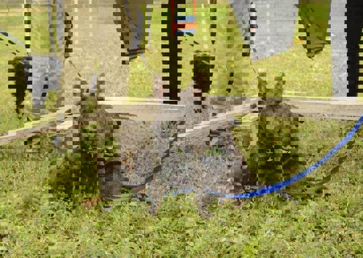 careday_043.jpg