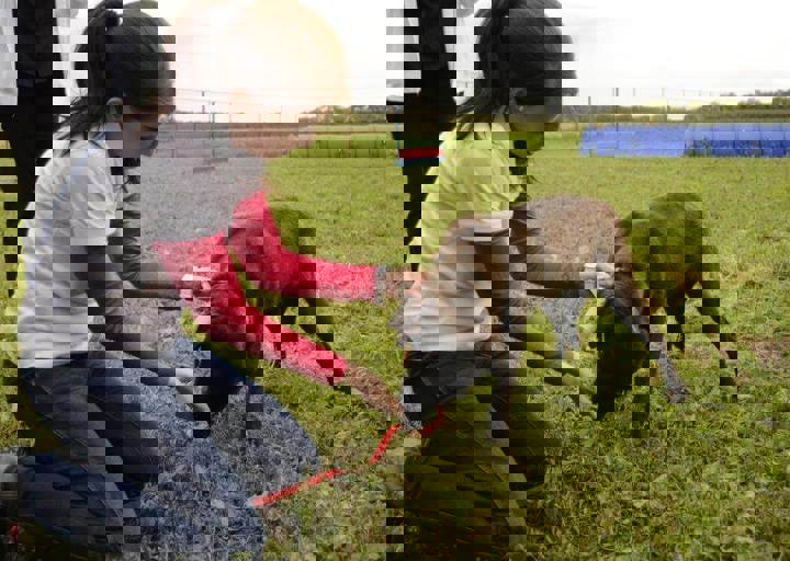 careday_044.jpg