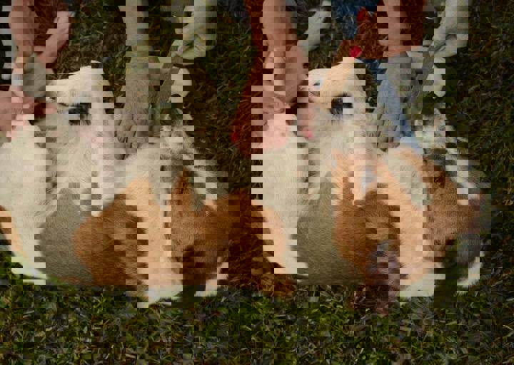 careday_046.jpg