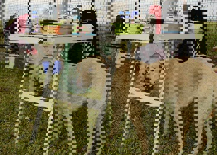 careday_047.jpg