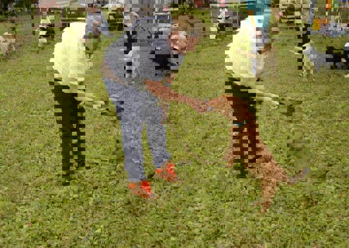 careday_050.jpg