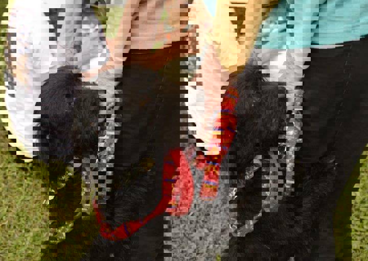 careday_051.jpg