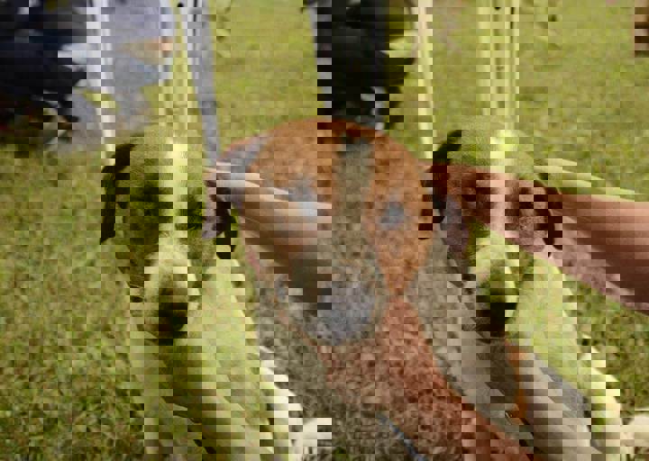 careday_052.jpg