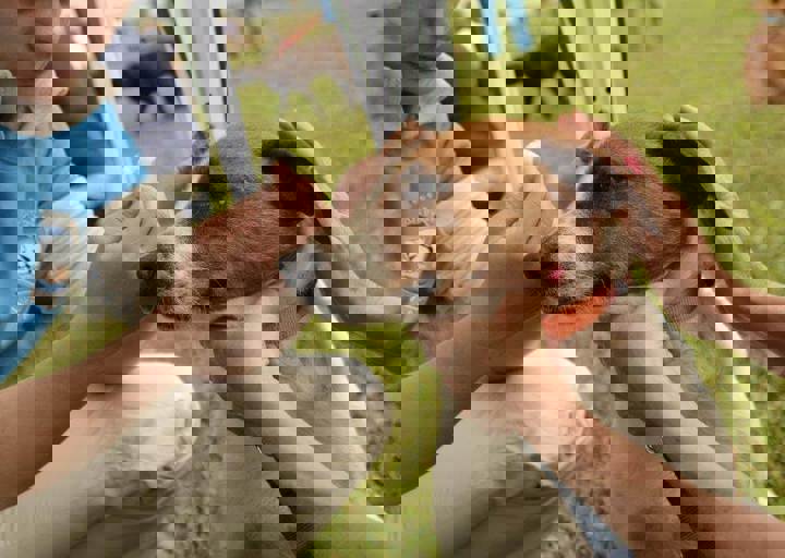 careday_053.jpg