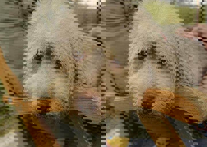 careday_055.jpg