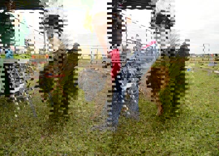 careday_056.jpg