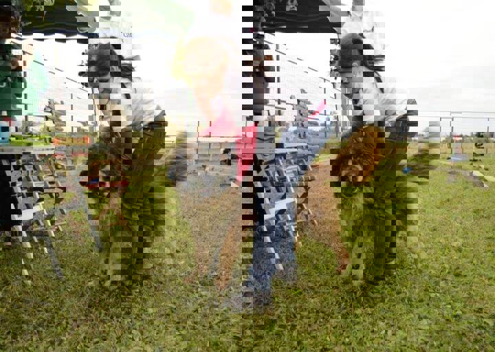 careday_057.jpg