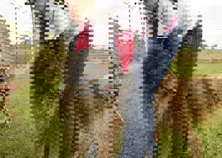 careday_058.jpg