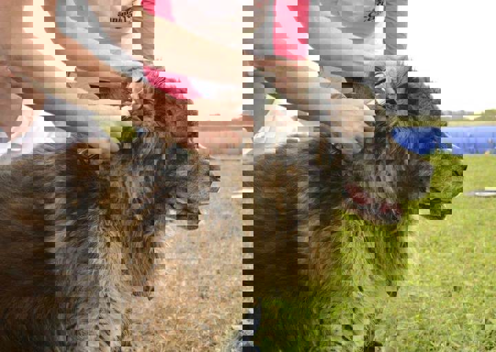 careday_061.jpg