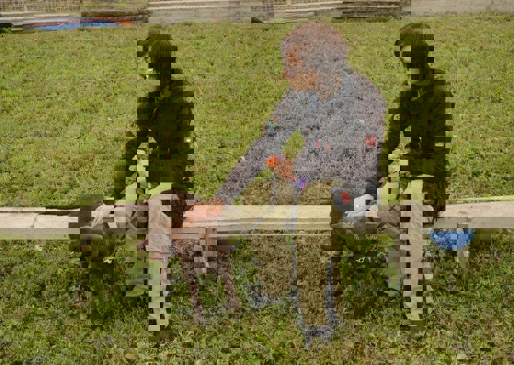 careday_063.jpg