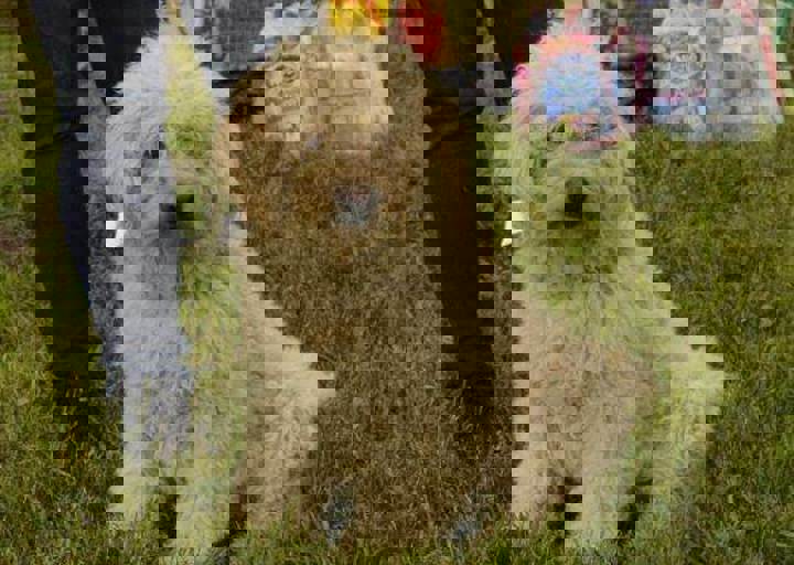 careday_065.jpg