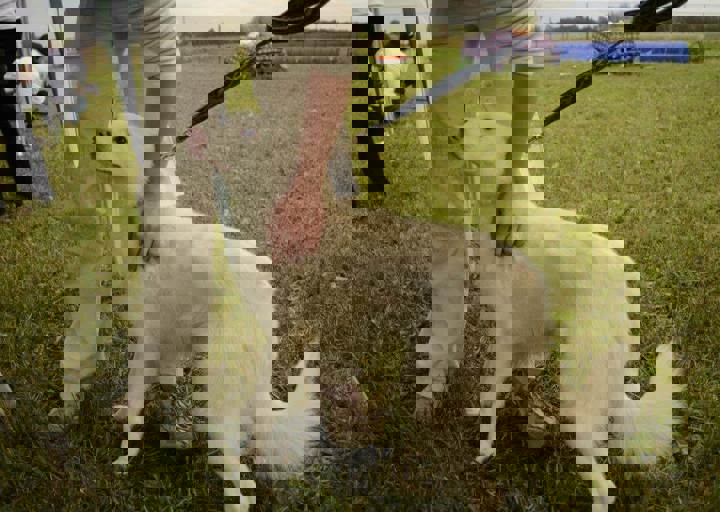 careday_066.jpg