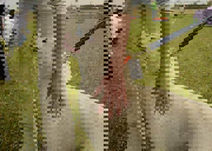 careday_067.jpg
