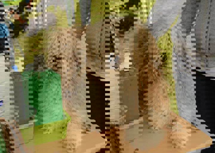 careday_068.jpg