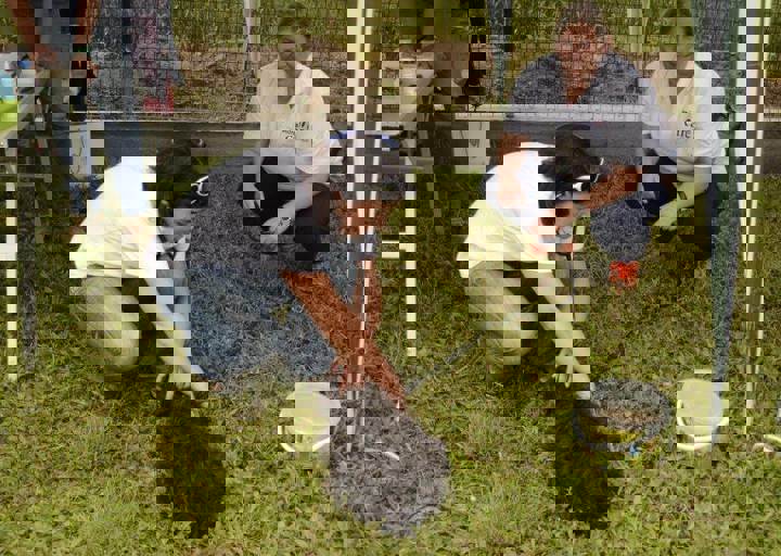 careday_069.jpg
