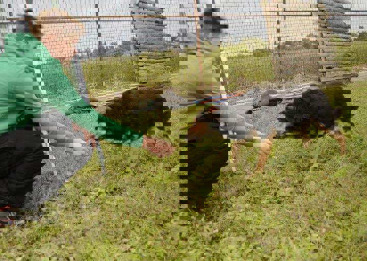 careday_070.jpg