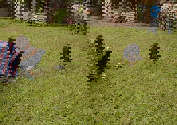 careday_071.jpg