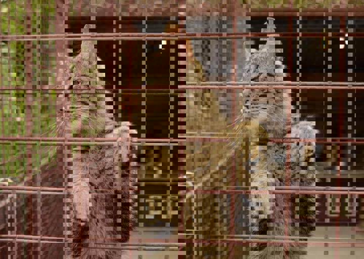 careday_074.jpg