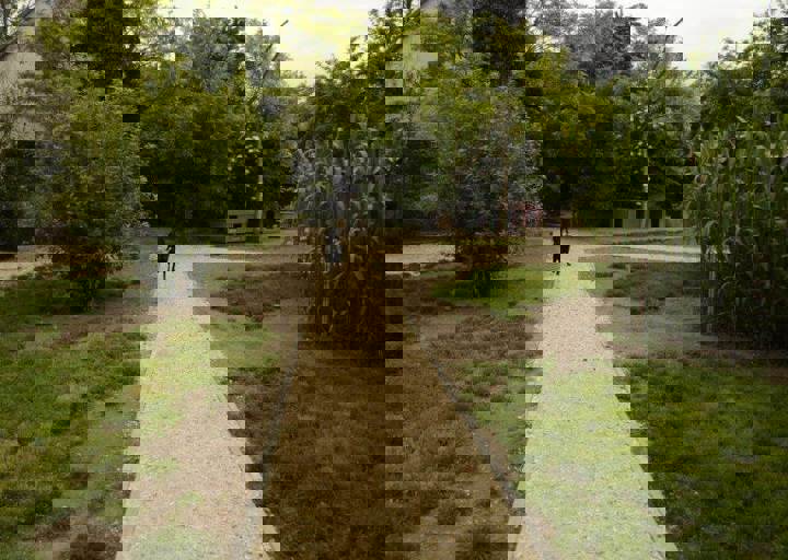 careday_075.jpg