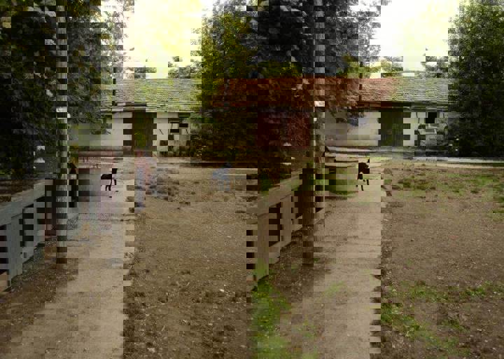 careday_076.jpg