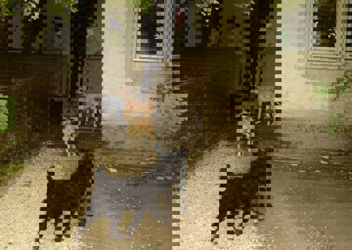 careday_077.jpg