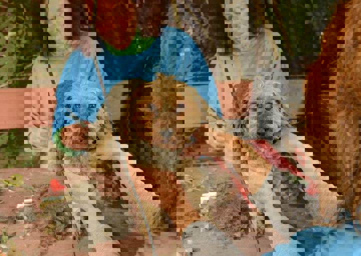 careday_078.jpg