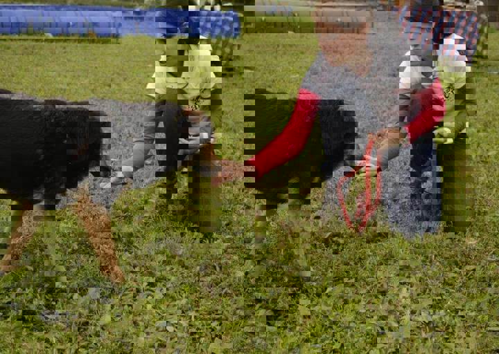 careday_079.jpg