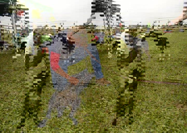 careday_081.jpg