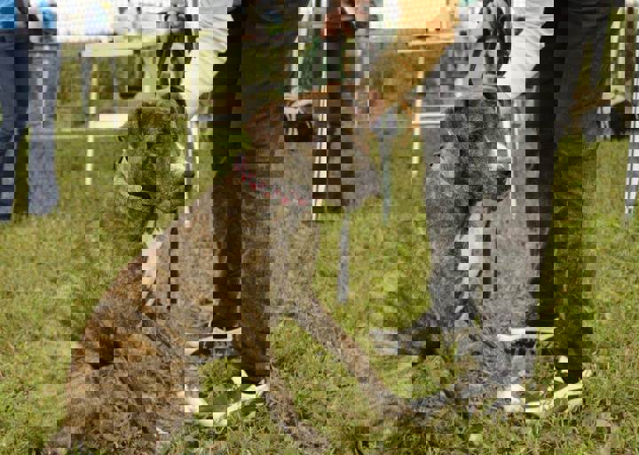 careday_083.jpg