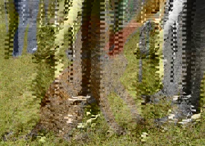 careday_084.jpg
