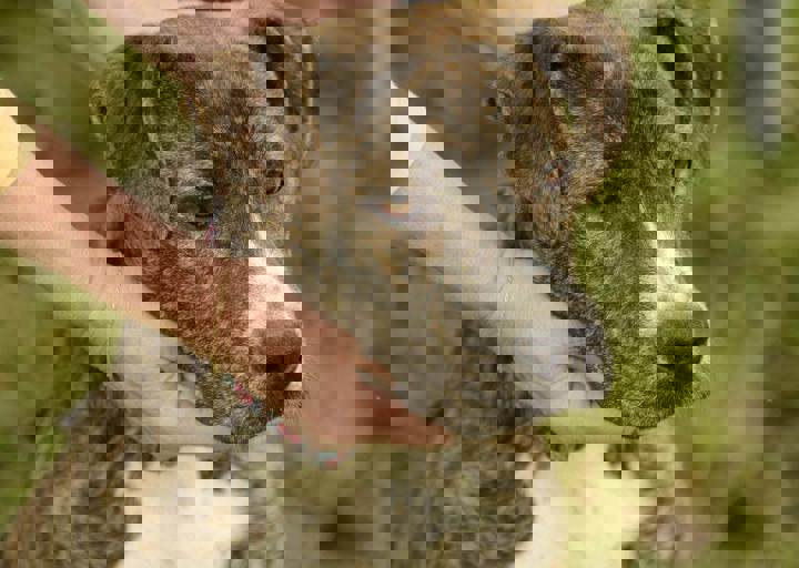 careday_085.jpg