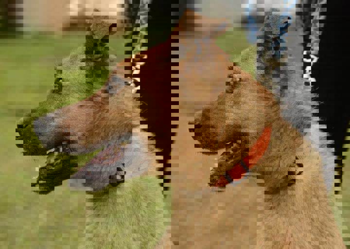 careday_088.jpg
