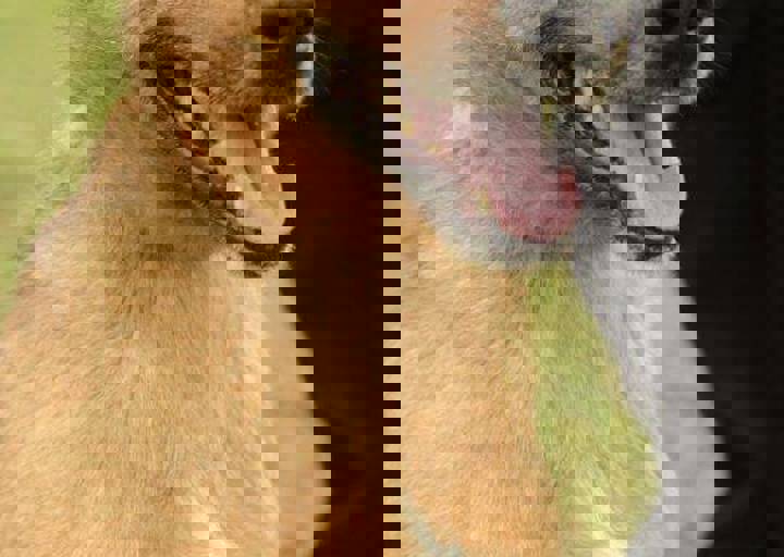 careday_089.jpg