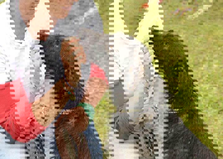 careday_090.jpg
