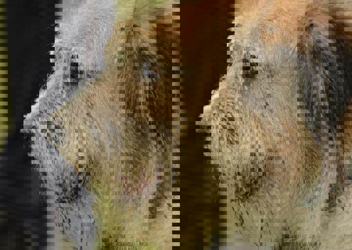 careday_091.jpg