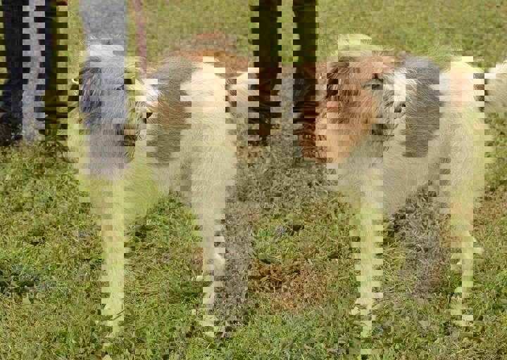 careday_092.jpg