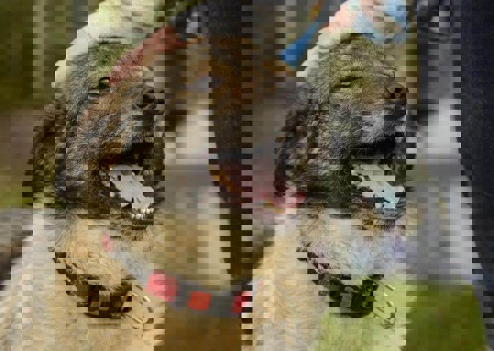 careday_093.jpg
